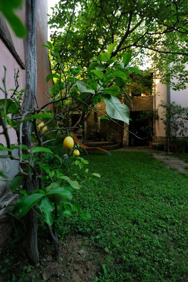 Traditional Istrian Stone House Šmarje 외부 사진