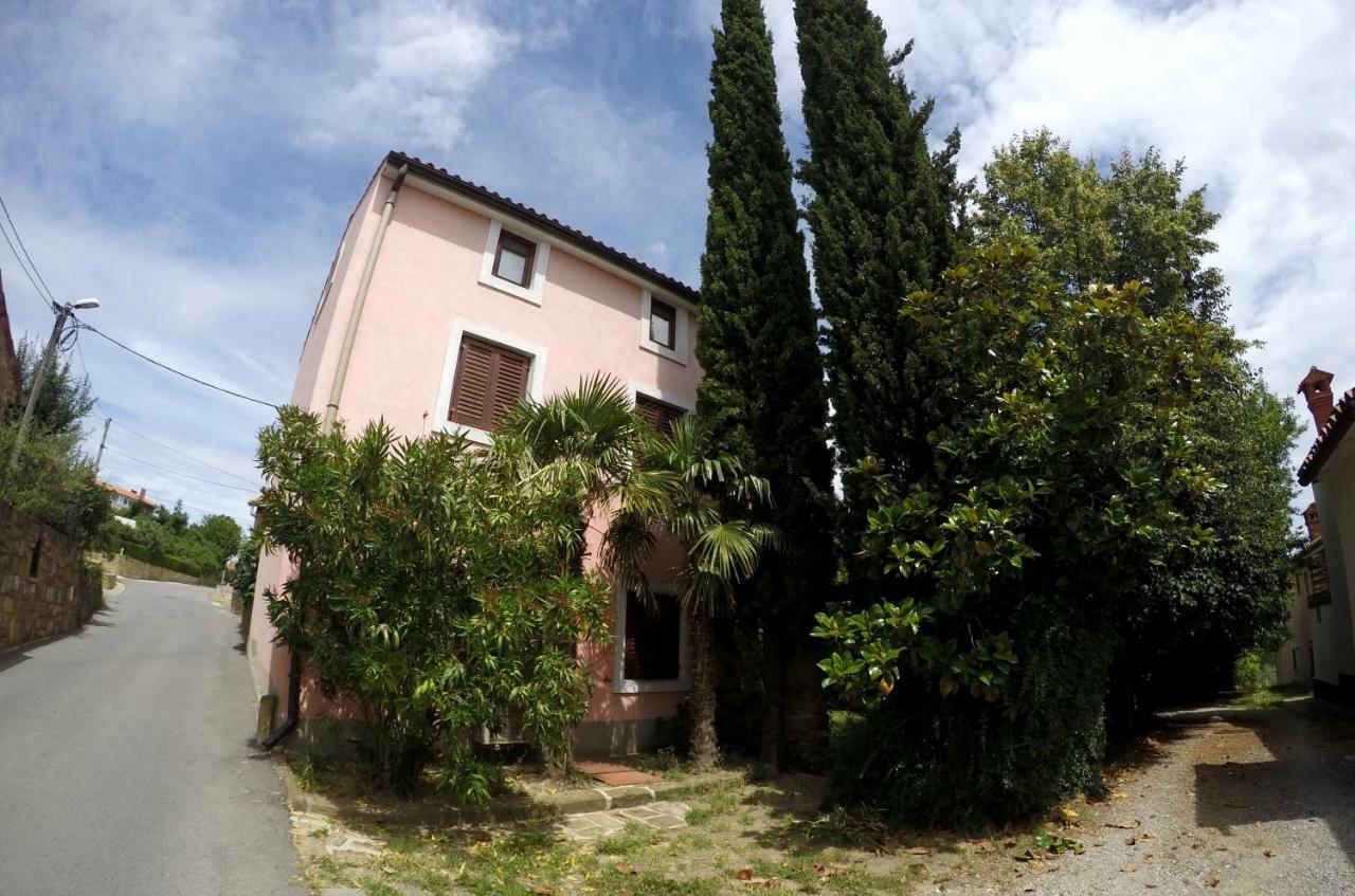 Traditional Istrian Stone House Šmarje 외부 사진